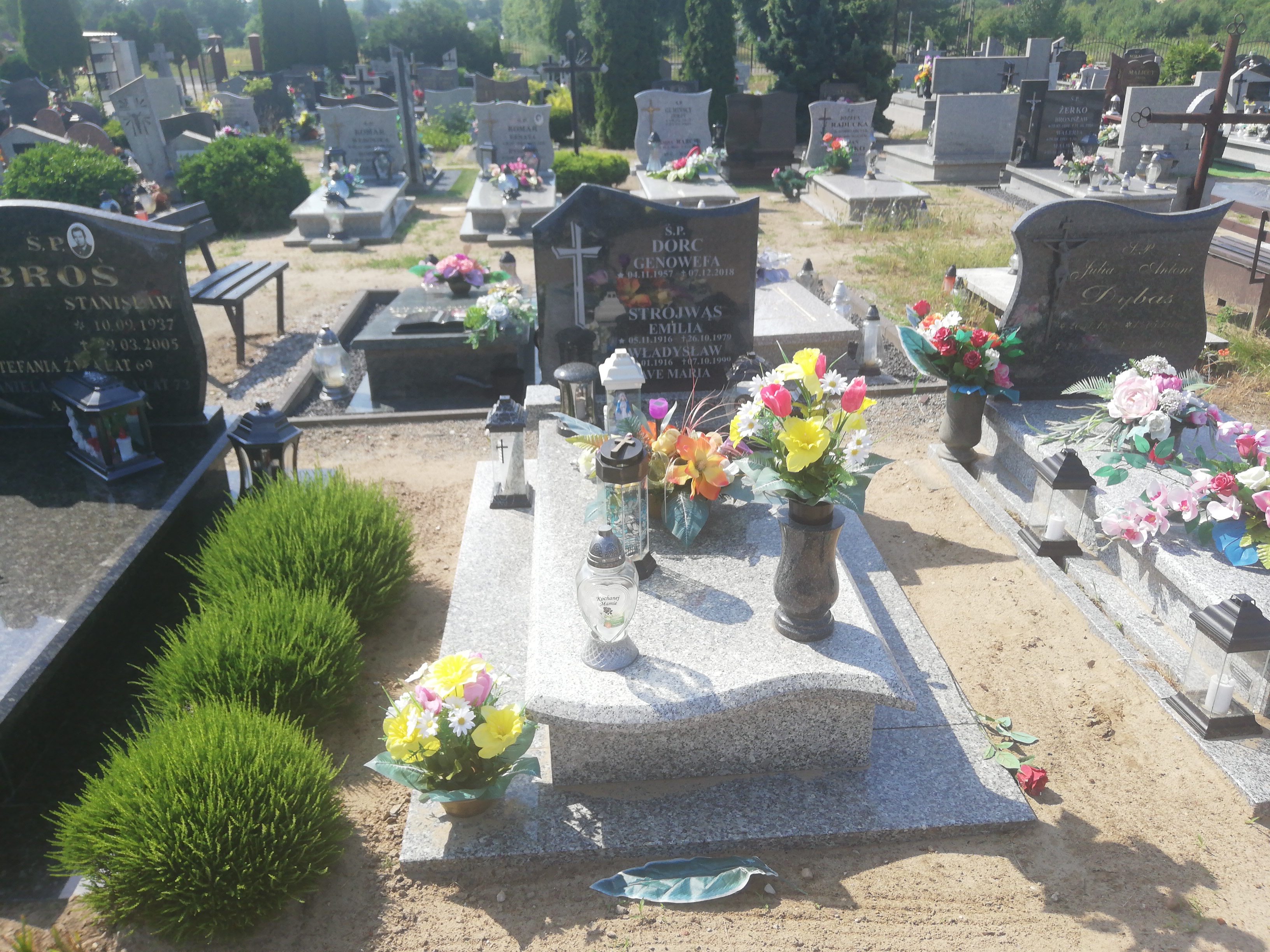 Grób Władysław Strojwąs