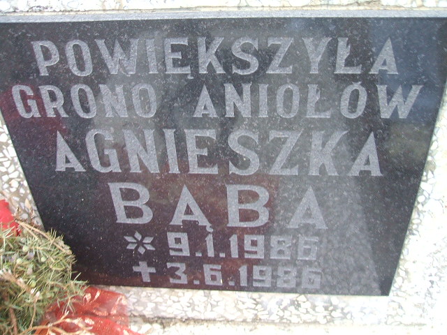 Agnieszka Bąba 1986 Okonek - Grobonet - Wyszukiwarka osób pochowanych
