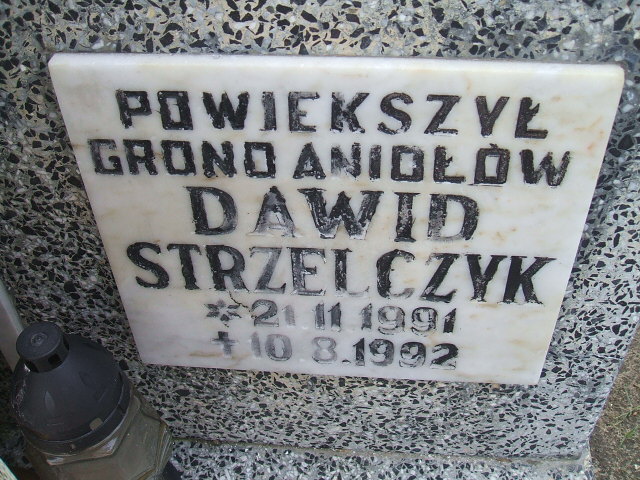 Dawid Strzelczyk 1991 Okonek - Grobonet - Wyszukiwarka osób pochowanych