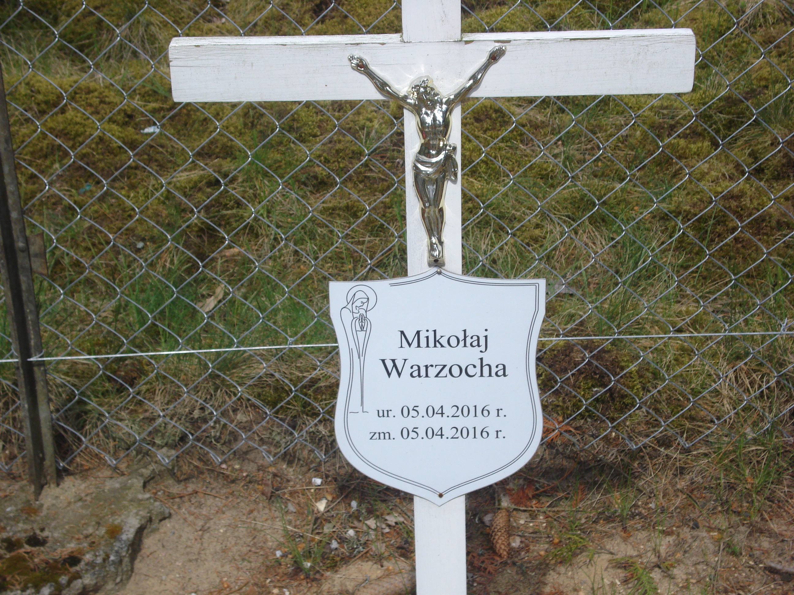 Mikołaj Warzocha 2016 Okonek - Grobonet - Wyszukiwarka osób pochowanych